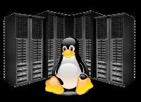 web hosting linux software