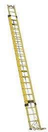 Wall Supported Extension Ladder