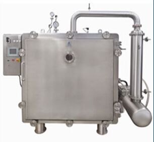Vacuum Tray Dryer