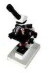 Stable Binocular Microscope