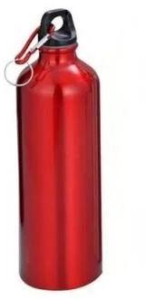 Red 22.5 gm Stainless Steel Carabiner Sports Water Bottle