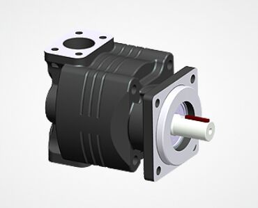 Cast iron gear pumps