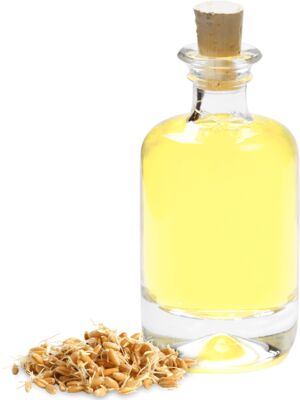 Wheat Germ Oil, for Cooking, Cosmetics, Massage, Medicine, Skin Care, Packaging Size : 190 Kgs