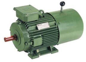 Electromagnetic Brake Motor