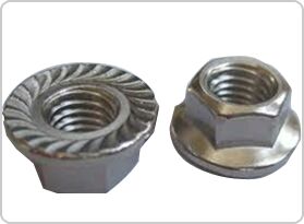 GI Flange Nut, Grade : 4.6, 8, 10, A2-70