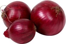 PRIMACY Common onion, Certification : APEDA