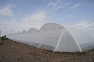 Tunnel Type Shade Net House