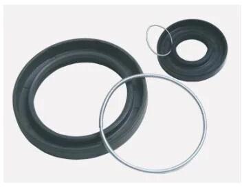 Rotary Shaft Seal