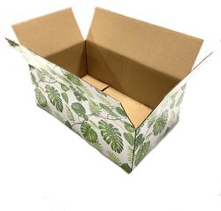 Rhinoo Rectangle Cardboard Vegetable Box, Pattern : Printed