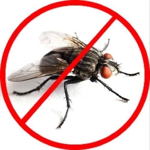 Fly Control Services