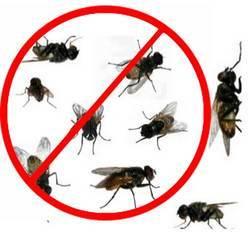 Industrial Fly Control Services