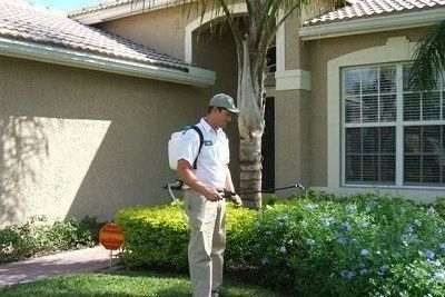 Residential Domestic Pest Control Services