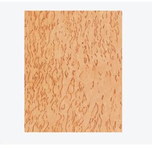 Plain Birch Burls Plywood Sheet, Length : 8x4 Feet