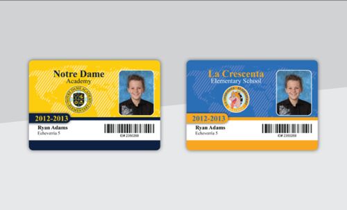 School PVC ID Cards