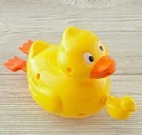 All Types Of Birds Toys And Accessories Available At Rudo