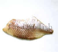 Perch- Fillet Fish