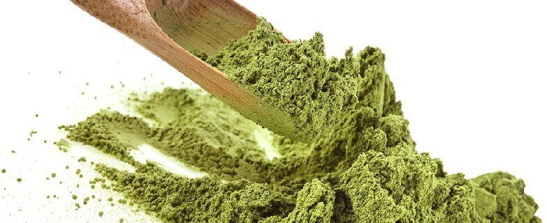 Natural Moringa Powder, for Cosmetics, Medicines Products, Style : Dried