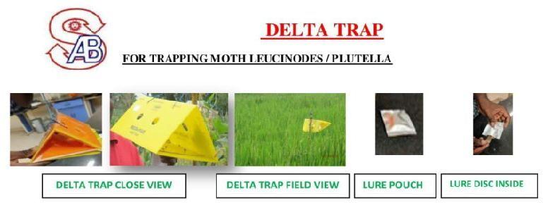 INSECT PHEROMONE TRAPS, Feature : Long Life, Eco Friendly