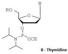 Thymidine Ced Phosphoramidite