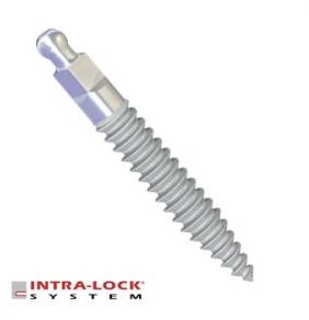 Mini Drive Lock Implant