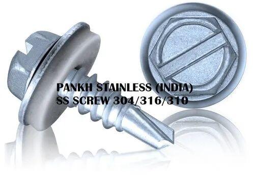 Stainless Steel SS Screw
