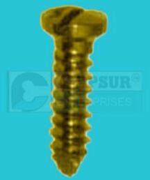 Capsur Titanium Cortex Screw