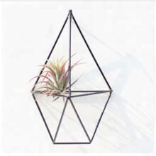 Iron Metal Wall Planters, Color : Multi Color