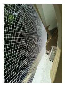 Bird Proofing Net