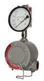 Explosion Proof Instruments
