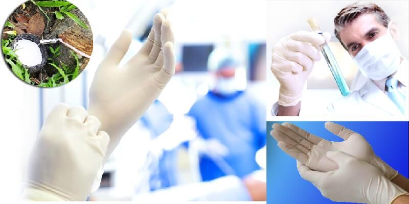 Natural Rubber Latex Surgical Gloves, Size : Large (106 +/- 5mm), Medium (95 +/- 5mm), Small (85 +/- 5mm)