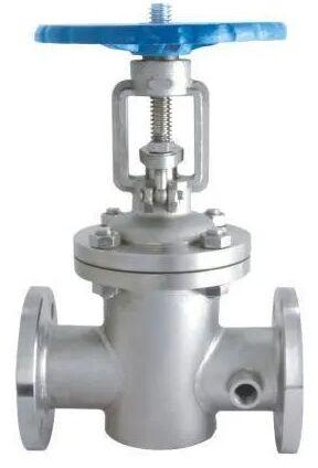 Rank WCB Jacketed Gate Valve