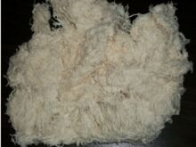 Murata Impex Hard Cotton Waste
