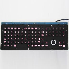 OEM Illuminated Keyboard