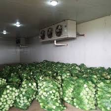 Electric Vegetable Cold Storage Room, Feature : Low Maintenance Cost, Application Specific Design