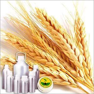 Wheat germ Carrier Oil