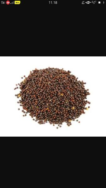 mustard seeds