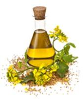 Commercial Grade Castor Oil