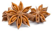 Star Ani Seeds, Style : Dried