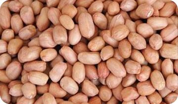 Common Shelled Peanuts, for Making Flour, Making Oil, Making Snacks, Packaging Type : Gunny Bag, Jute Bag
