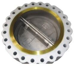 Dual Plate Check Valve