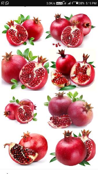 Pomegranate fruit