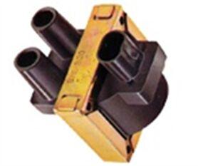 Double Outlet Ignition Coils