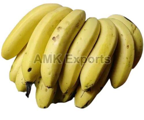 Common Natural Yellow Banana, Shelf Life : 1week