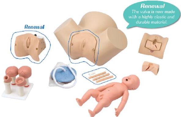 Midwifery Practice Model Set