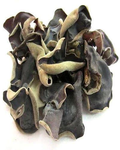 Raw Organic Black Mushroom
