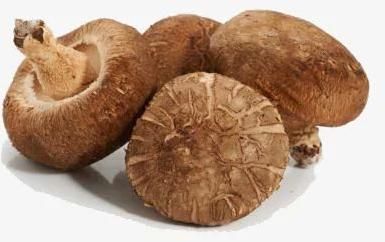 Shiitake Mushrooms, Dried (Standard Grade)