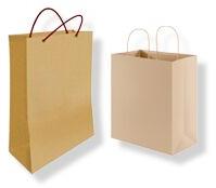 paper carry bags