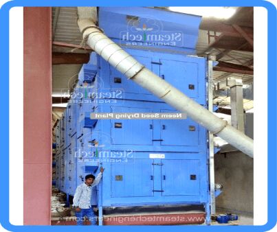 Neem Seed Dryer, for Industrial, Form : Powder