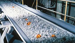 Heat Resistant Conveyor Belt