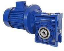 Worm Gear Motor